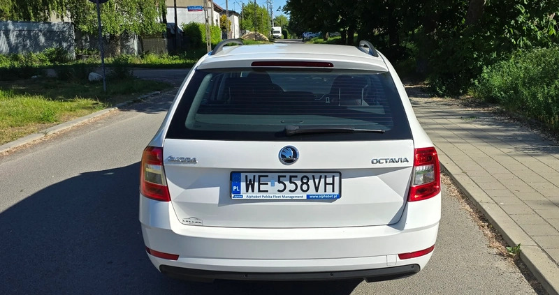 Skoda Octavia cena 43900 przebieg: 156198, rok produkcji 2019 z Łódź małe 379